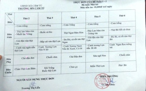 TĐ NHÀ TRẺ 1,3.jpg